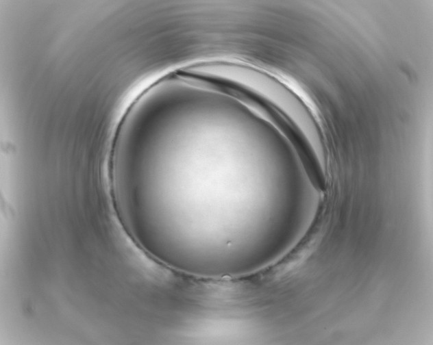 X0000091310959200708101501