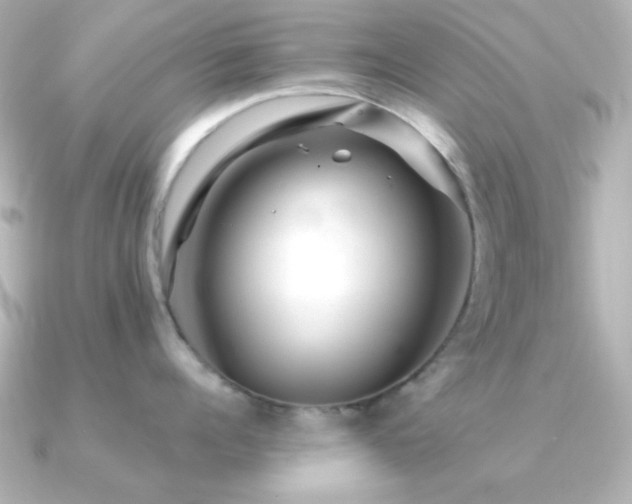 X0000091310960200708101501