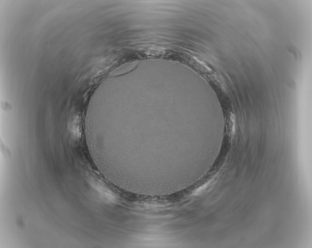 X0000091310962200708101500