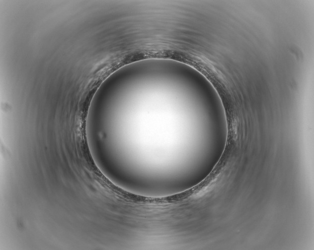 X0000091310964200708101500