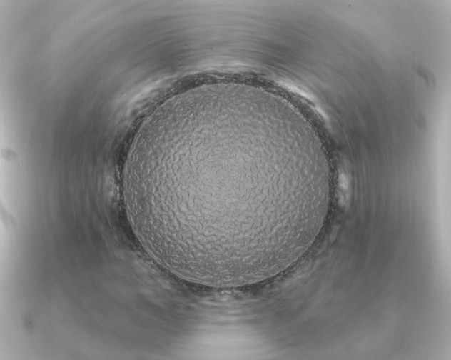 X0000091310966200708101500