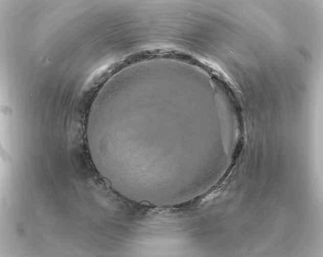 X0000091310967200708101500