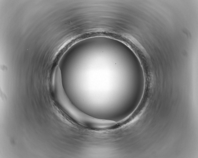 X0000091310969200708101500