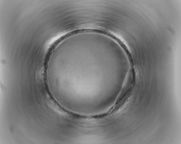 X0000091310971200708101500