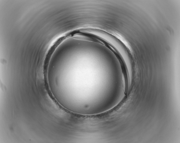 X0000091310972200708101500