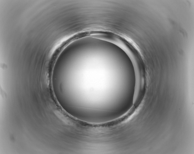 X0000091310973200708101500