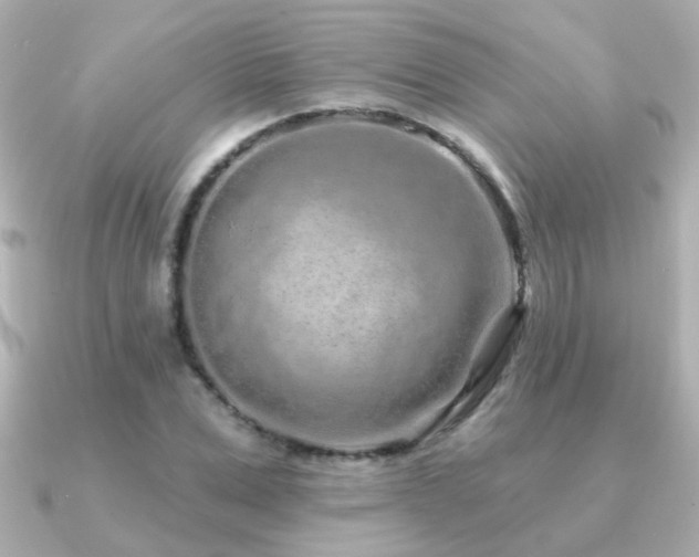 X0000091310975200708101500