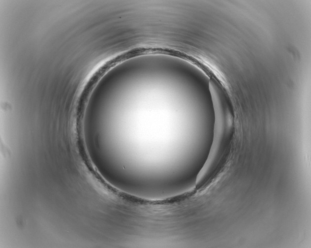 X0000091310976200708101500