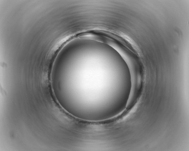 X0000091310977200708101500