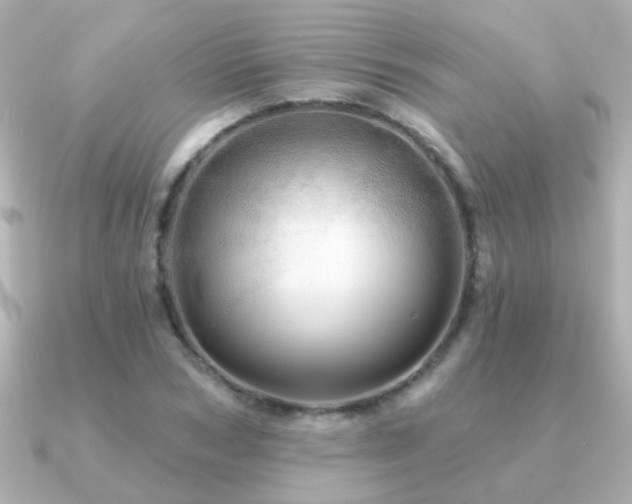 X0000091310978200708101500