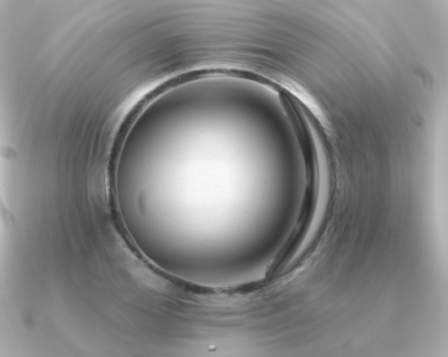 X0000091310980200708101500