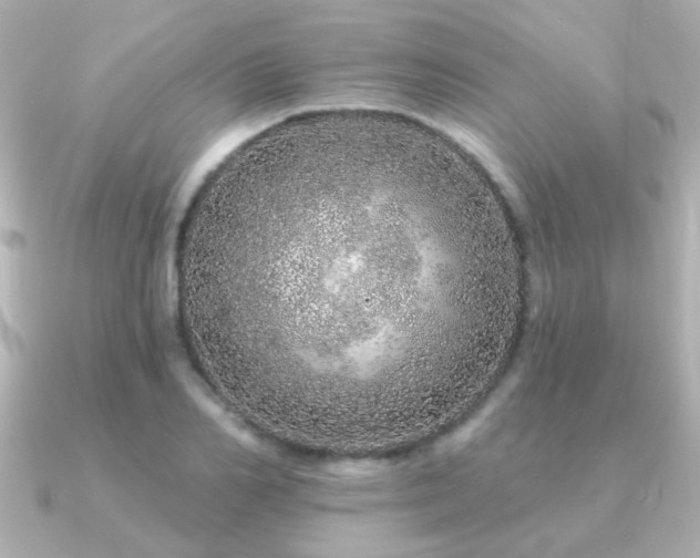 X0000091310982200708101500