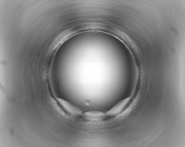 X0000091310985200708101500