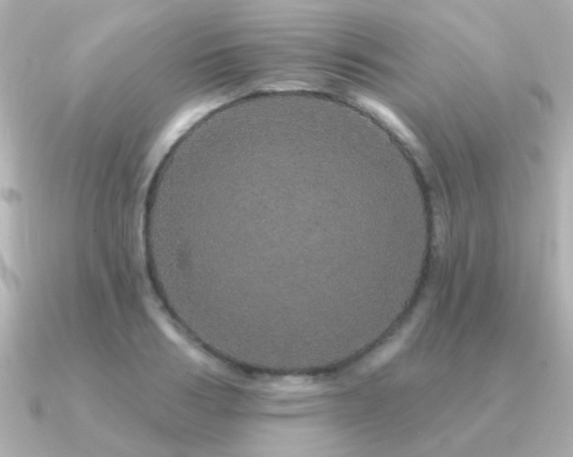 X0000091310986200708101500