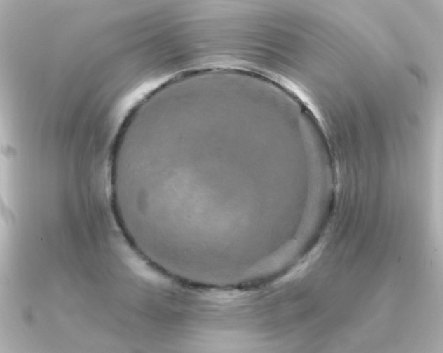 X0000091310987200708101500