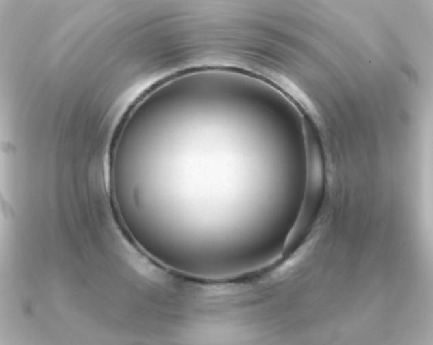 X0000091310988200708101500