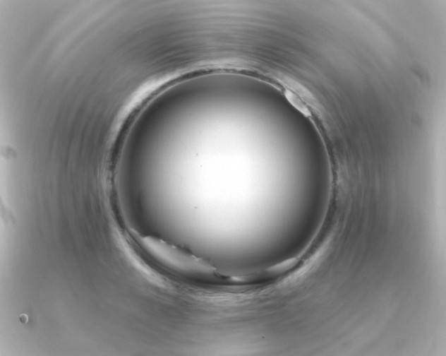 X0000091310989200708101500