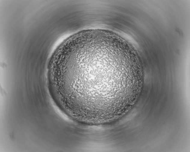 X0000091310990200708101500