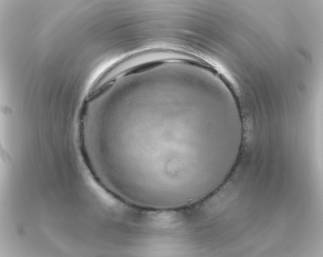 X0000091310991200708101500