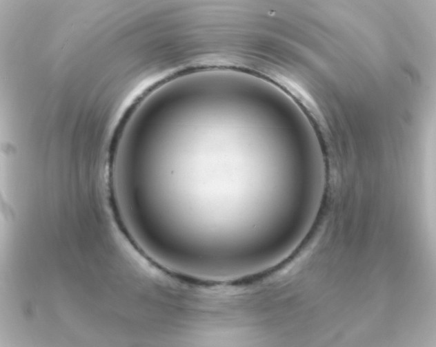 X0000091310992200708101500