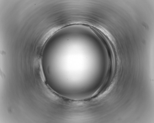 X0000091310993200708101500