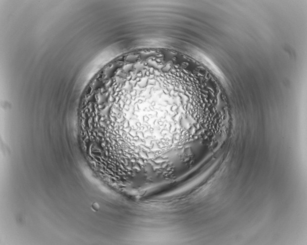 X0000091310994200708101500