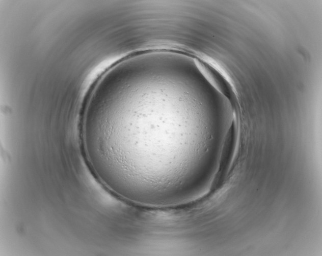 X0000091310995200708101500