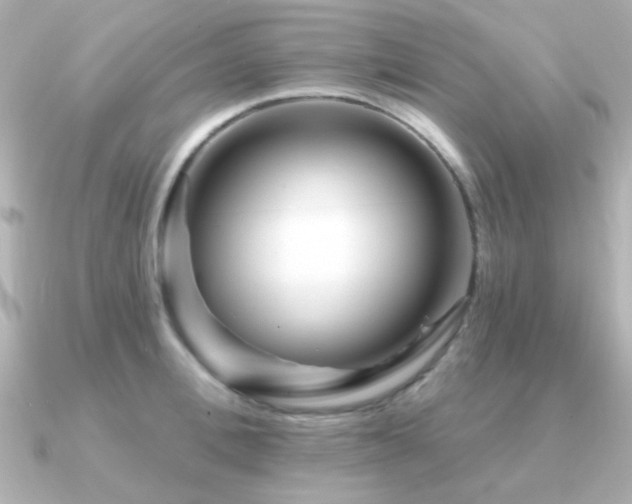 X0000091310996200708101500