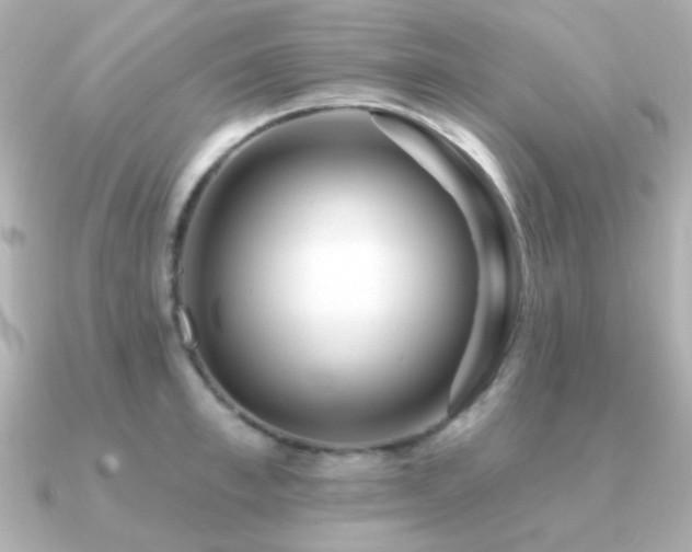 X0000091310997200708101500