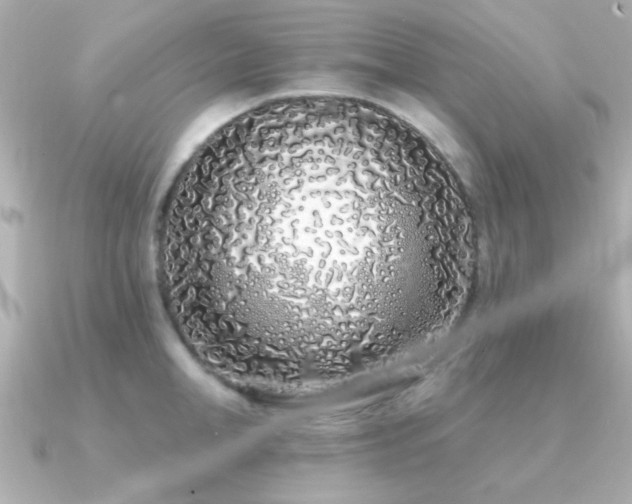 X0000091310998200708101500