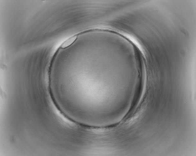 X0000091310999200708101500