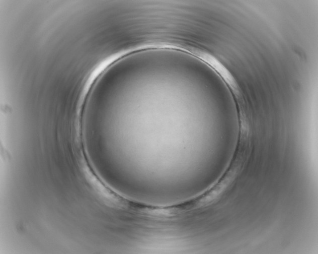 X0000091311004200708101500