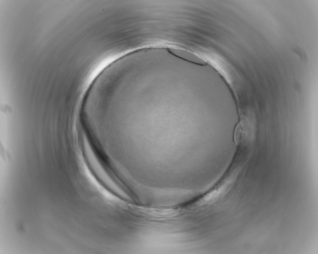 X0000091311007200708101500