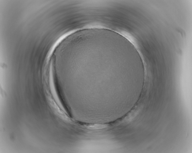 X0000091311008200708101500