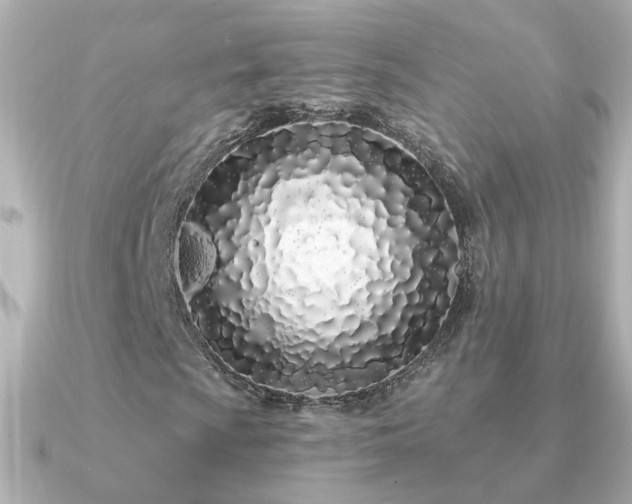 X0000091311009200708101459