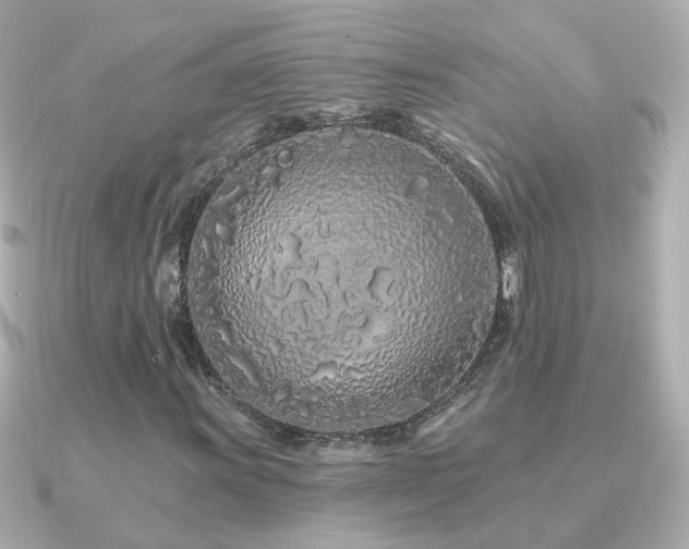 X0000091311011200708101459