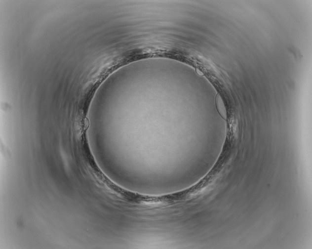 X0000091311012200708101459