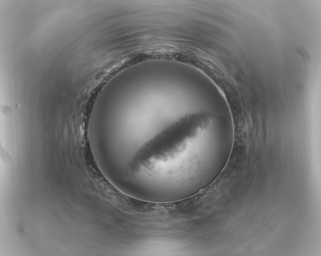 X0000091311013200708101459