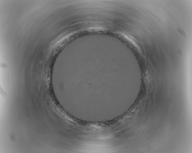 X0000091311015200708101459