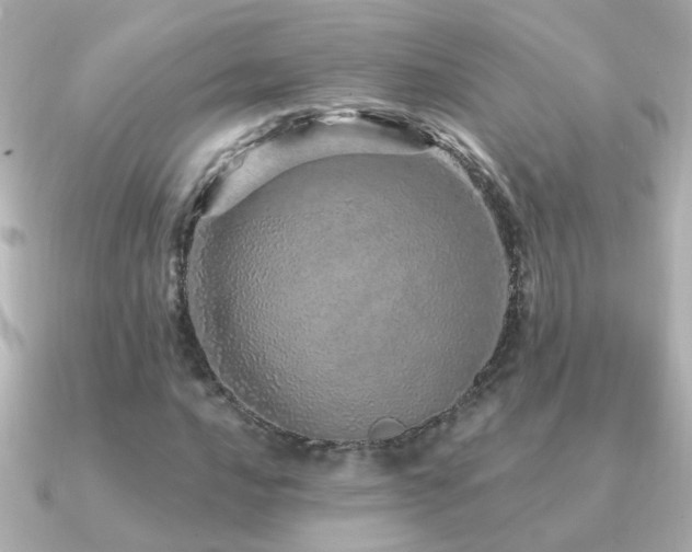 X0000091311016200708101459