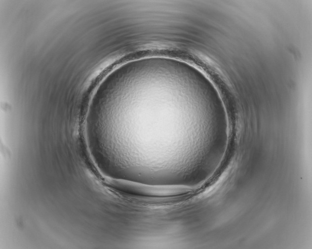 X0000091311017200708101459