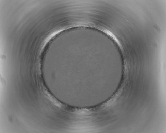 X0000091311019200708101459