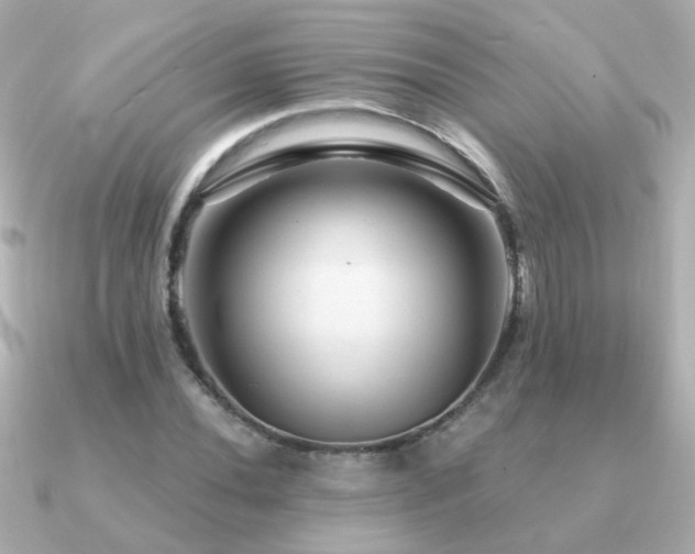 X0000091311020200708101459