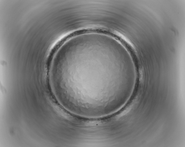 X0000091311021200708101459