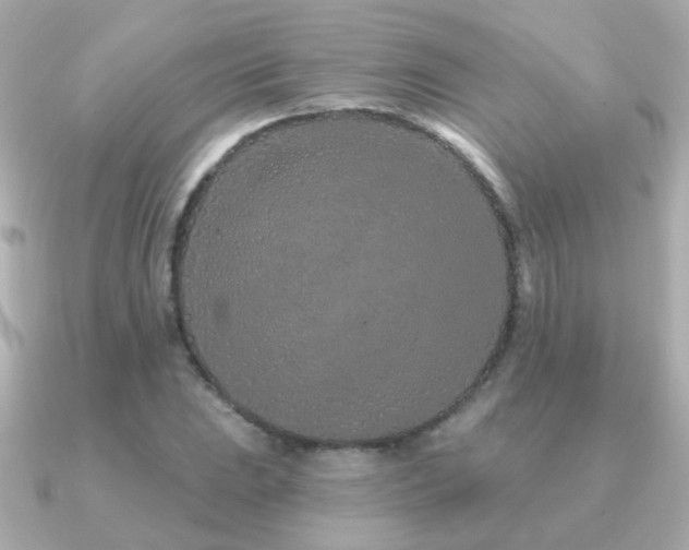 X0000091311023200708101459