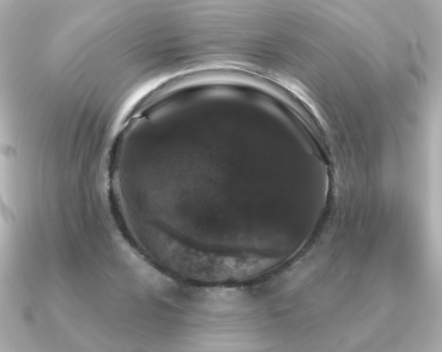 X0000091311024200708101459