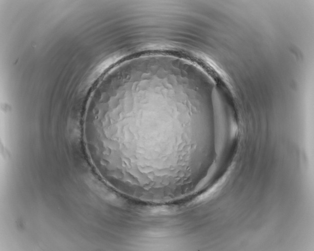 X0000091311025200708101459