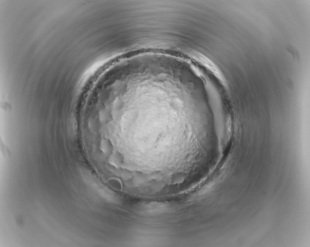 X0000091311027200708101459