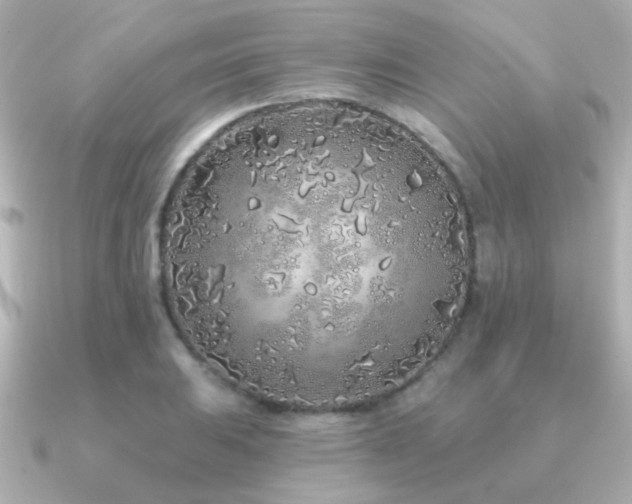 X0000091311031200708101500