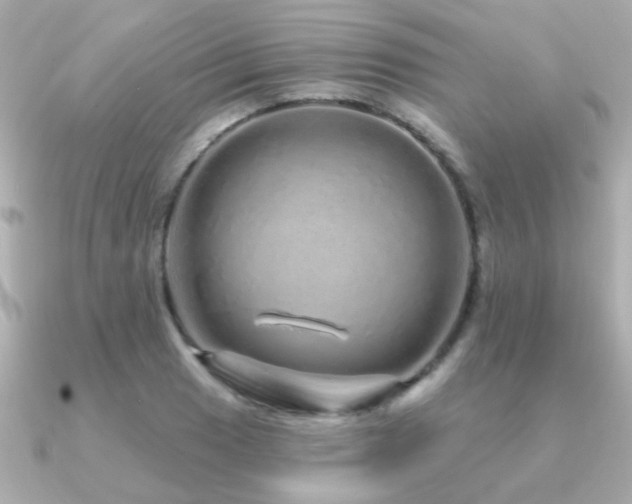 X0000091311033200708101500
